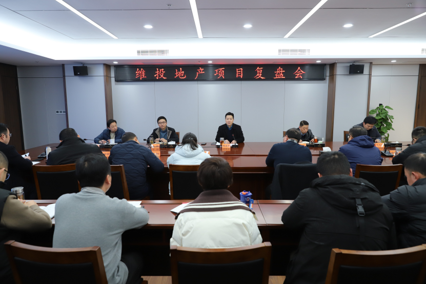 錘煉核心競爭力 打造區(qū)域領(lǐng)先地產(chǎn)國企標桿——維投地產(chǎn)召開項目復(fù)盤會